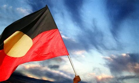 Exploring the Myth: Does 'Kangaroo' Mean 'I Don't Know' in .